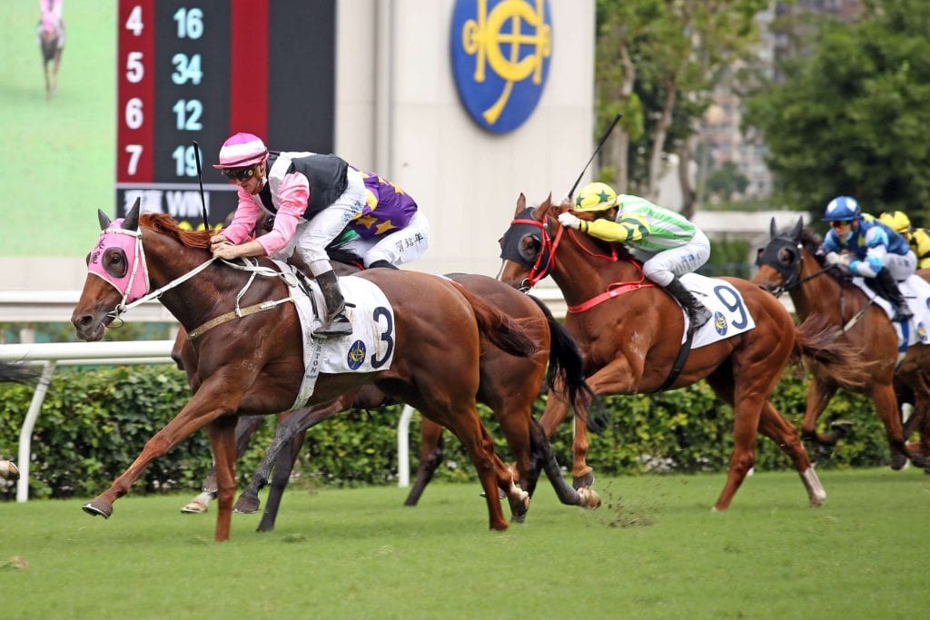 必勝賽馬投注技巧大揭秘︱免費贏馬必勝貼士分享，教您如何提高獲勝手法！